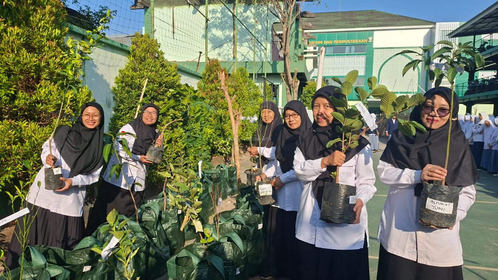 SAJI SAPO: Satu Jiwa Satu Pohon, Langkah Nyata MAN 2 Yogyakarta Merawat Lingkungan